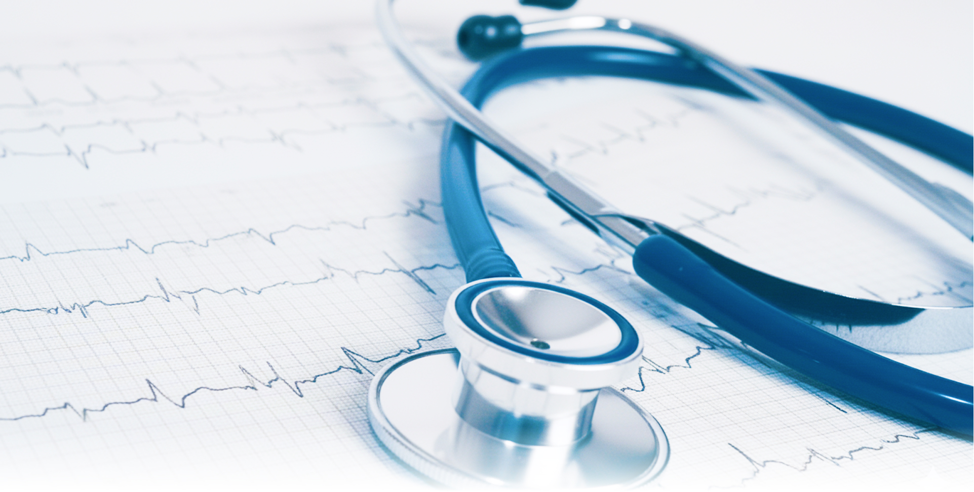 Ветеринарная клиника - слайд 4